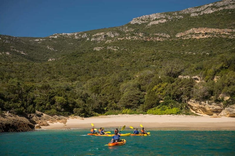 Lisbon: Kayak Tour Arrábida Natural Park, Setubal, Sesimbra - Final Thoughts: Is It Worth It?