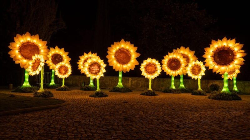 lisbon-living-van-gogh-exhibition-ticket