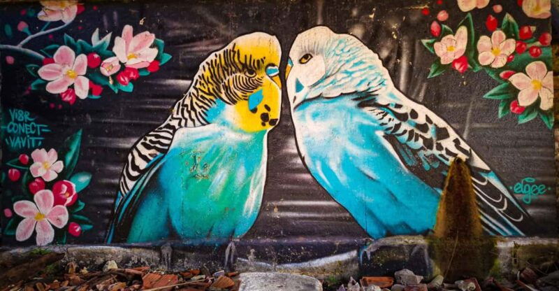 lisbon-lost-places-street-art-tour-for-photographers