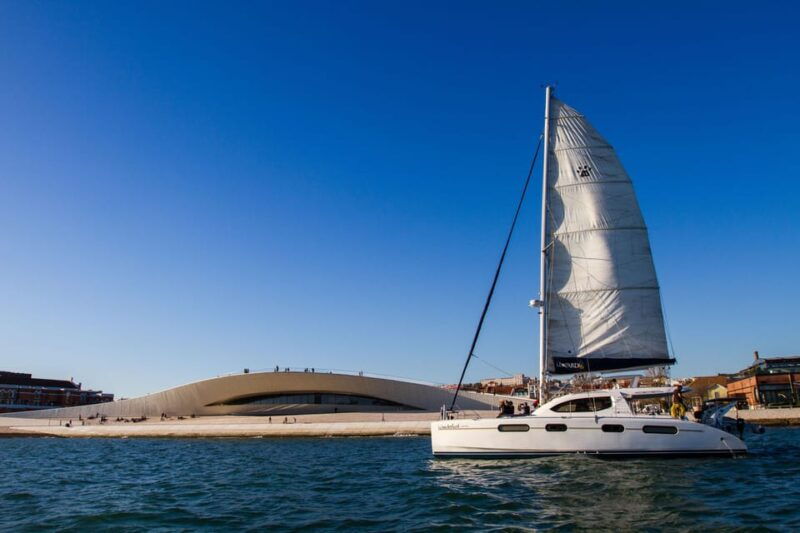 lisbon-maat-entry-ticket-dolphin-watching-boat-tour