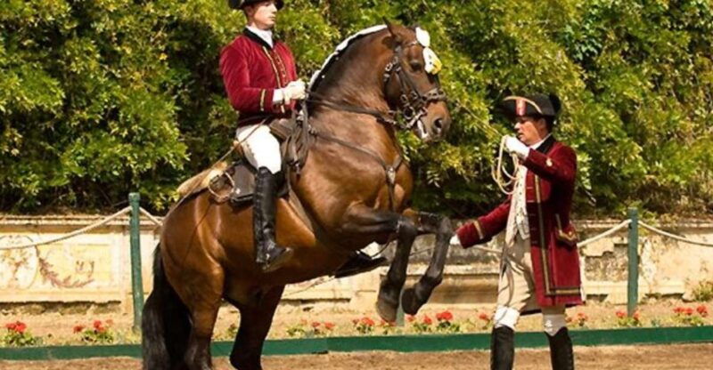 lisbon-morning-of-equestrian-art-with-lusitano-horses