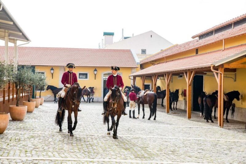 lisbon-morning-of-equestrian-art-with-lusitano-horses