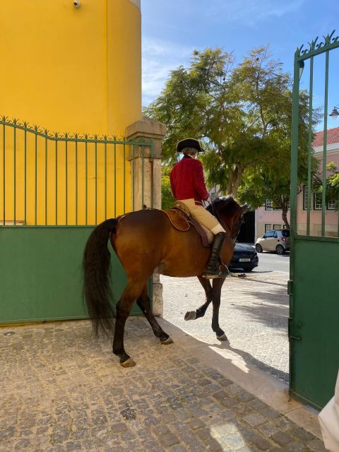 lisbon-morning-of-equestrian-art-with-lusitano-horses