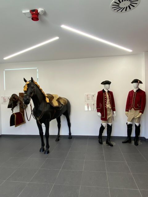 lisbon-morning-of-equestrian-art-with-lusitano-horses