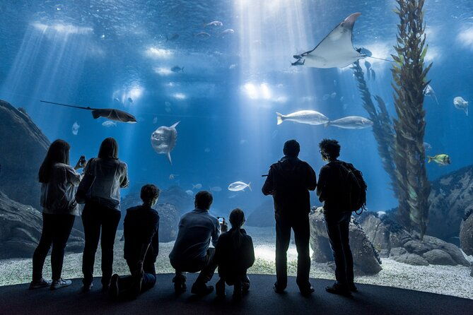 lisbon-oceanario-aquarium-entrance-ticket