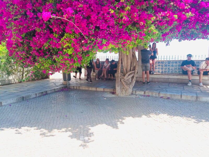 lisbon-old-town-tuktuk-tour