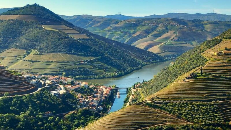 lisbon-one-way-to-douro-valley-through-coimbra-and-obidos