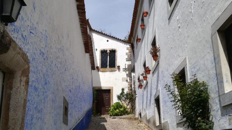 lisbon-one-way-to-douro-valley-through-coimbra-and-obidos