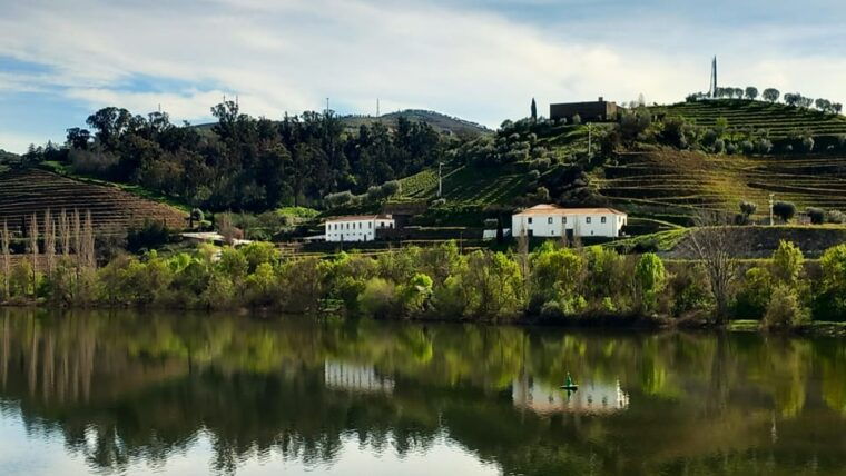 lisbon-one-way-to-douro-valley-through-coimbra-and-obidos