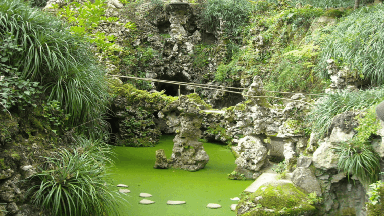 lisbon-pena-palace-sintra-cabo-da-roca-cascais-tour
