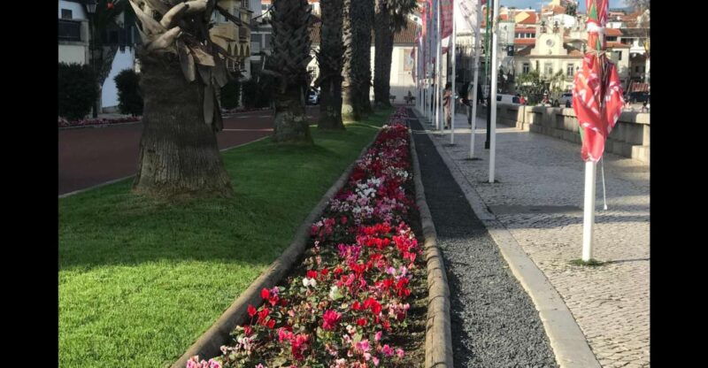 lisbon-pena-palace-sintra-cascais-and-cabo-roca-day-trip