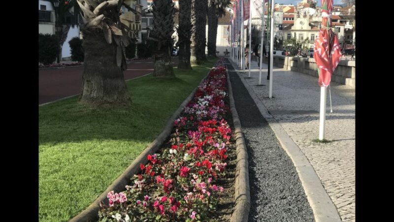 lisbon-pena-palace-sintra-cascais-and-cabo-roca-day-trip