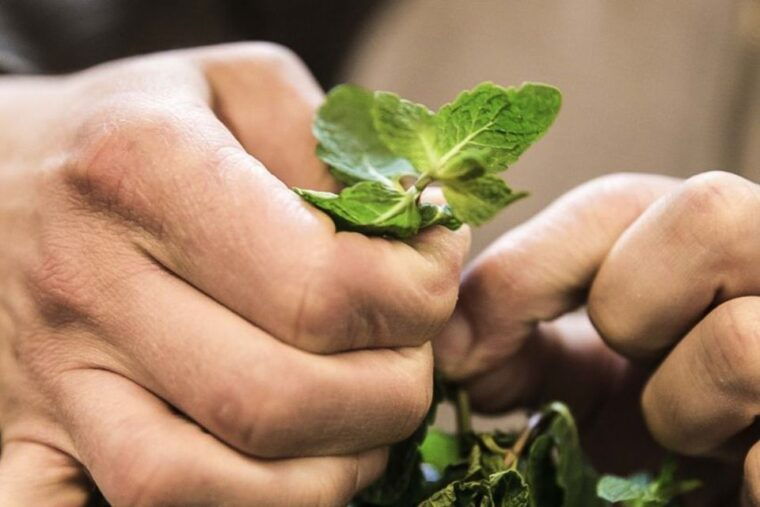 lisbon-portuguese-petiscos-tasting-tour-by-e-bike