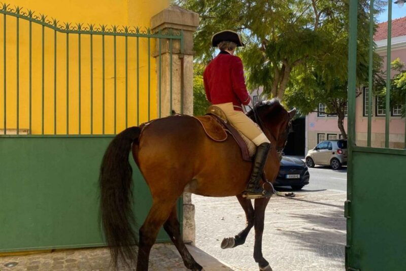 lisbon-portuguese-riding-school-trainig-with-lusitano-horse