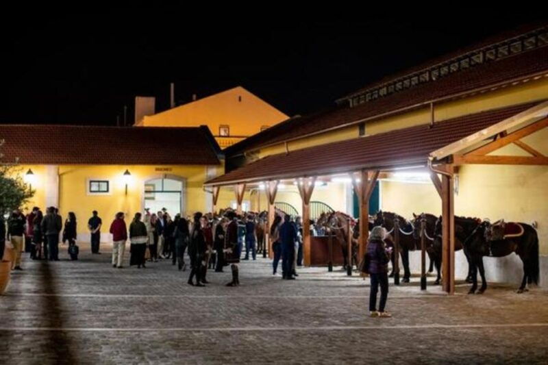 lisbon-portuguese-riding-school-trainig-with-lusitano-horse