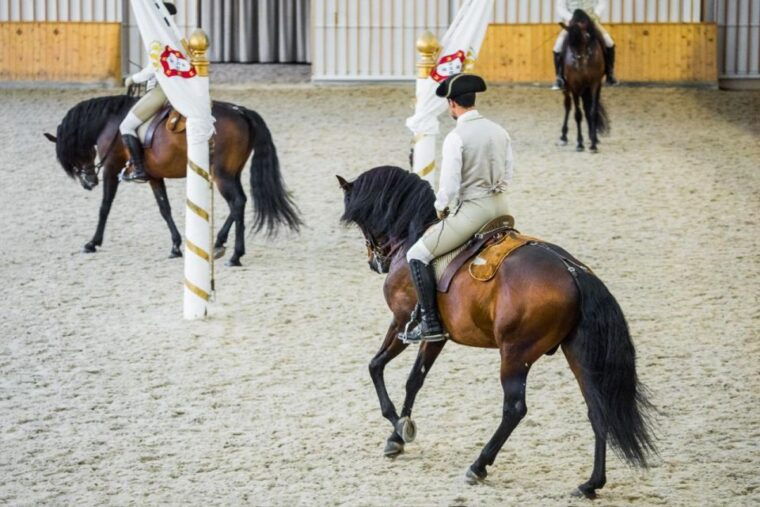 lisbon-portuguese-riding-school-trainig-with-lusitano-horse