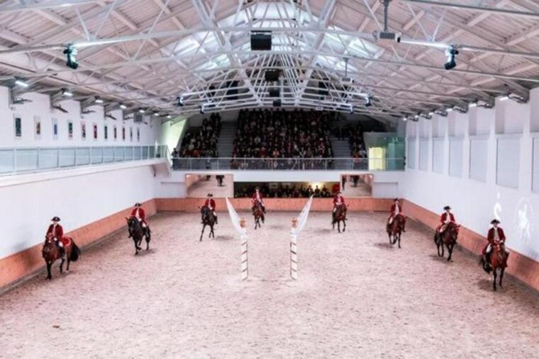 lisbon-portuguese-riding-school-trainig-with-lusitano-horse