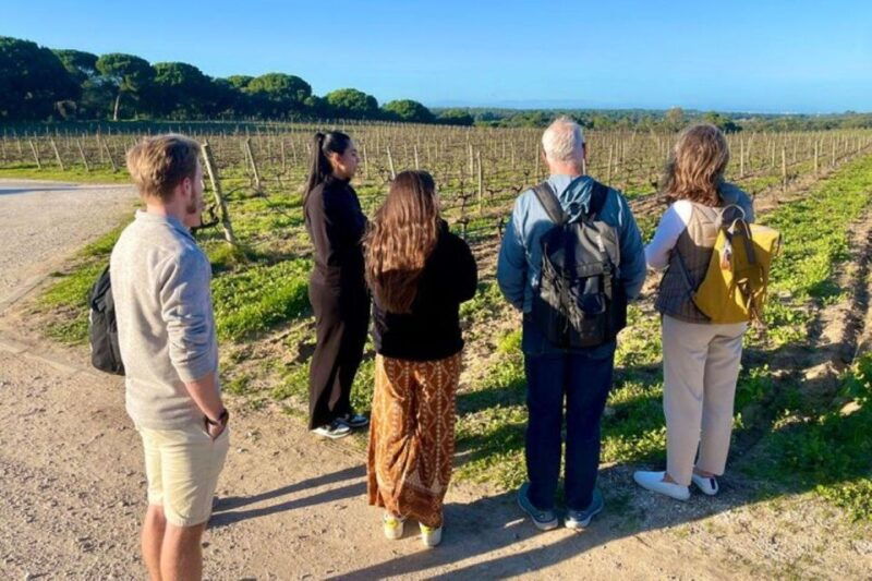 lisbon-private-all-inclusive-setubal-arrabida-wine-tour
