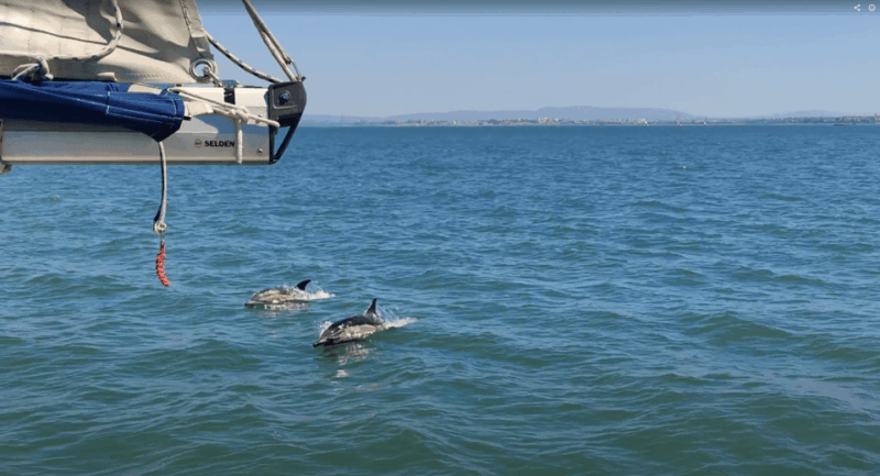 lisbon-private-boutique-boat-tour-sail-in-style