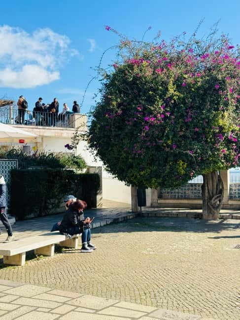 Lisbon: Private City Tour by Eco TukTuk - Why You Should Book This Tour