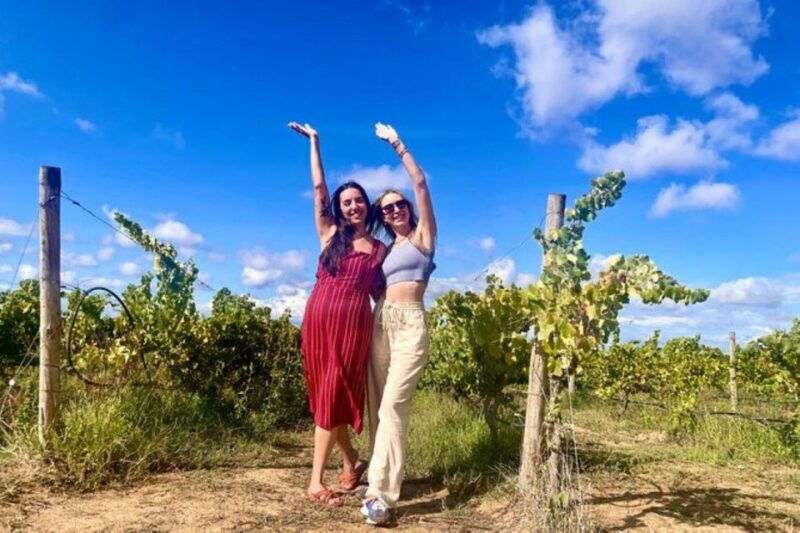 lisbon-private-full-day-evora-alentejo-wine-tour