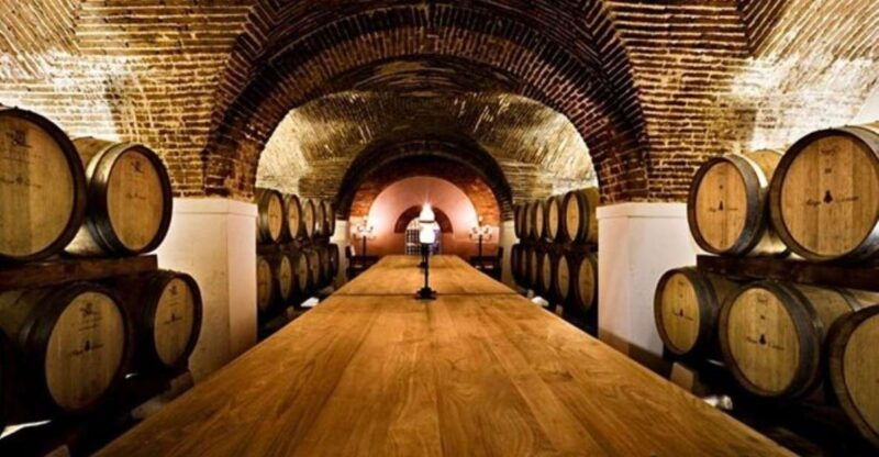 lisbon-private-full-day-evora-alentejo-wine-tour
