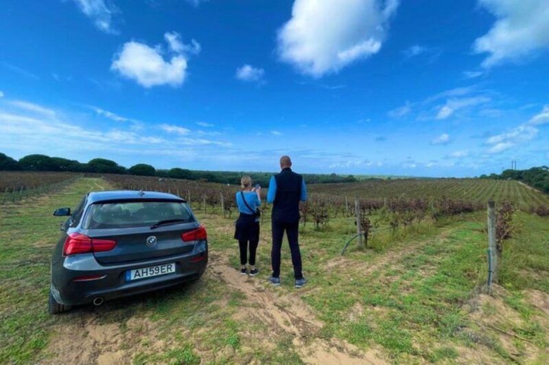 lisbon-private-full-day-evora-alentejo-wine-tour