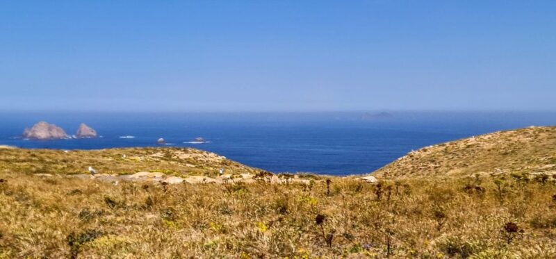 lisbon-private-full-day-tour-to-berlengas-island