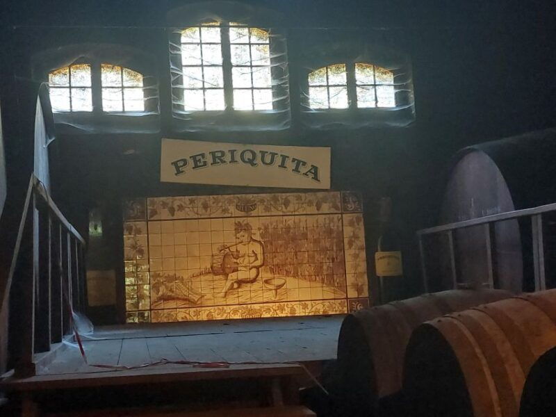 lisbon-private-full-day-wine-tasting-tour-in-a-premium-car