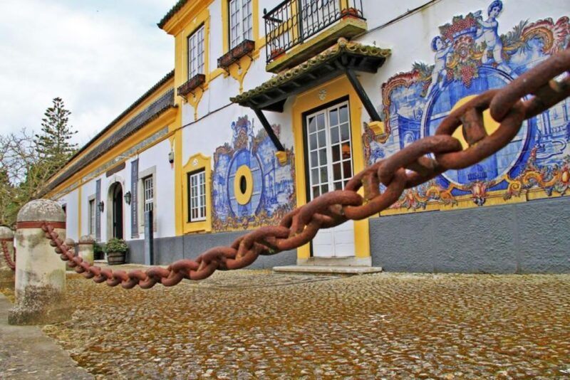 lisbon-private-full-day-wine-tasting-tour-in-a-premium-car