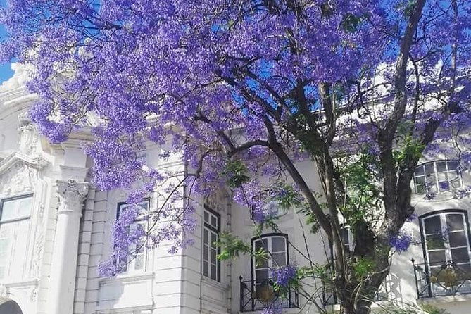 lisbon-private-guided-electric-tuk-tuk-tour-with-tastings