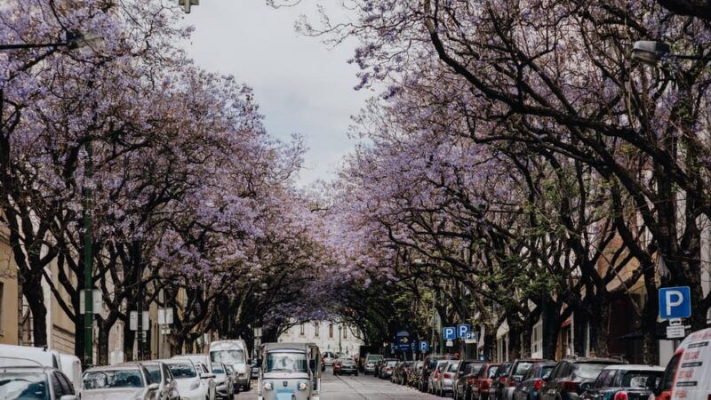 lisbon-private-guided-tuk-tuk-tour