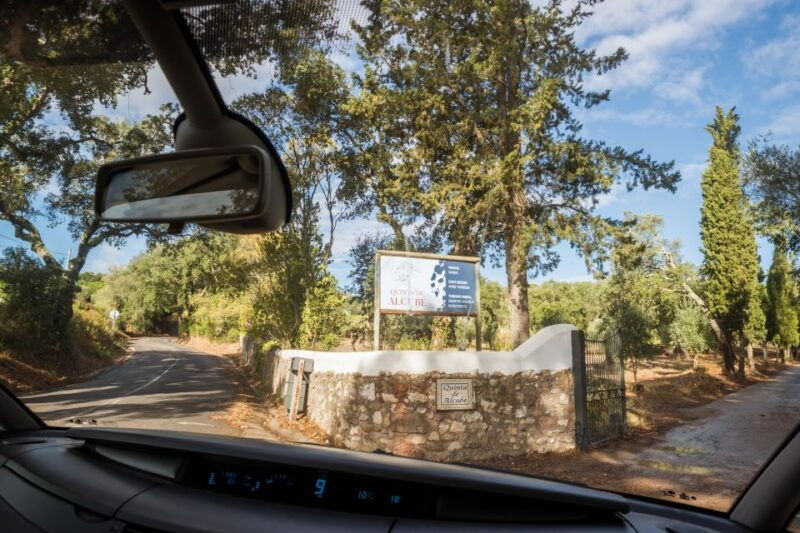 lisbon-private-setubal-region-wine-tasting-tour