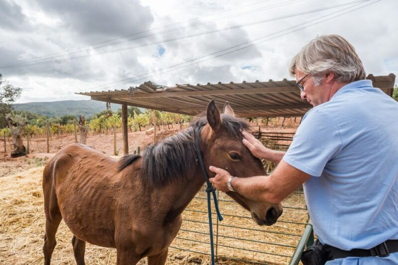lisbon-private-setubal-region-wine-tasting-tour