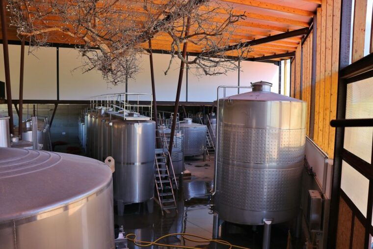 lisbon-private-setubal-region-wine-tasting-tour