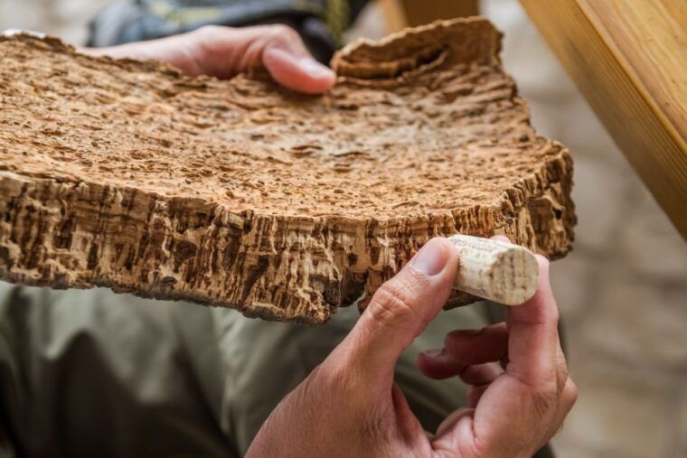 lisbon-private-setubal-region-wine-tasting-tour