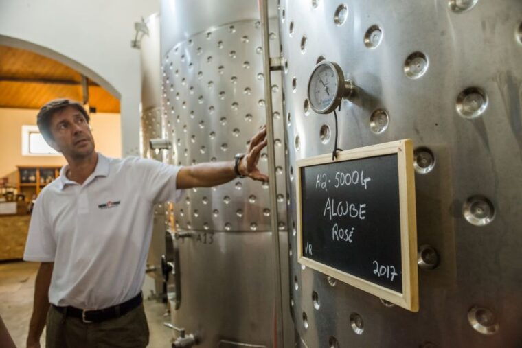 lisbon-private-setubal-region-wine-tasting-tour