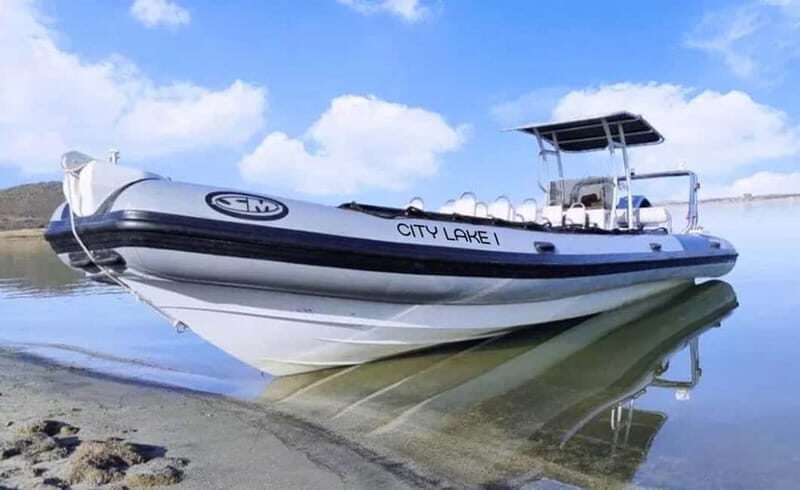 Lisbon: Private Speedboat Historical Tour - Why the Speedboat Tour Offers Great Value