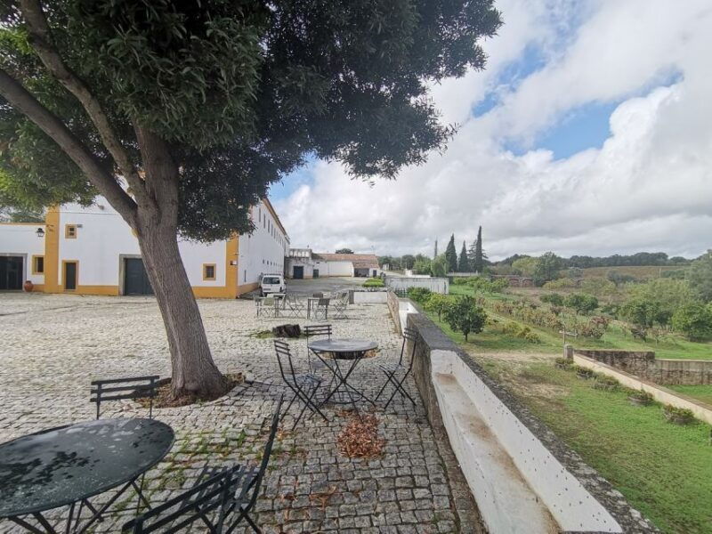 lisbon-private-tour-evora-with-wine-tasting-at-the-cartuxa
