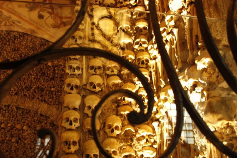 lisbon-private-tour-to-evora-and-cork-factory