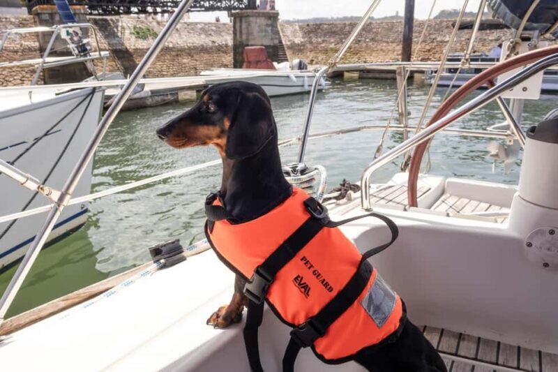 Lisbon: Sailing trip on the Tagus River - The boat and crew: a touch of luxury and professionalism