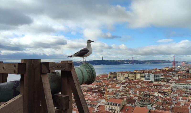 lisbon-saint-georges-castle-entry-ticket-and-guided-visit