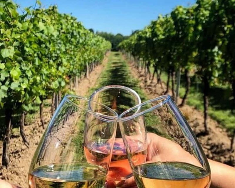 Lisbon: Setúbal, Arrábida and Azeitão Private Wine Tour - A Closer Look at What You Can Expect
