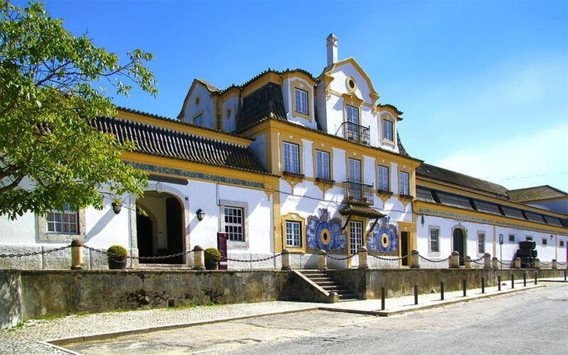 lisbon-setubal-peninsula-tour-with-wine-tasting-local
