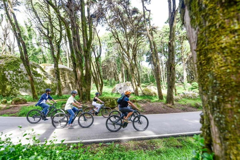 Lisbon: Sintra Magical e-Bike Tour + Lunch & Pena Palace - Detailed Breakdown of the Tour Experience