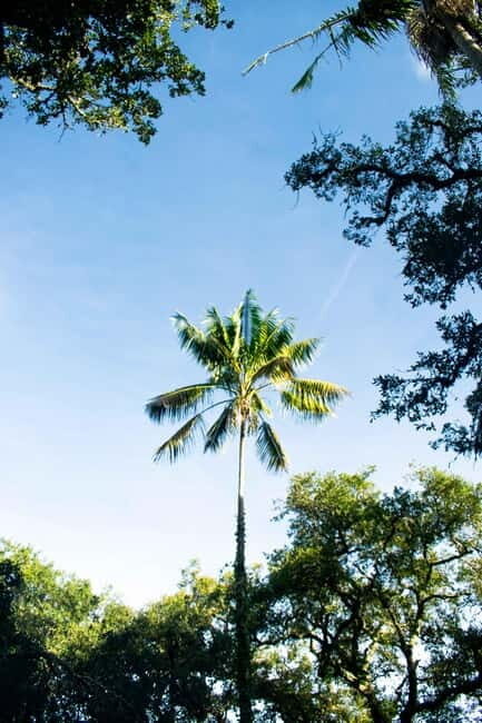 Lisbon/Sintra: Monserrate Palace Guided Tour with Pickup - Detailed Look at the Experience