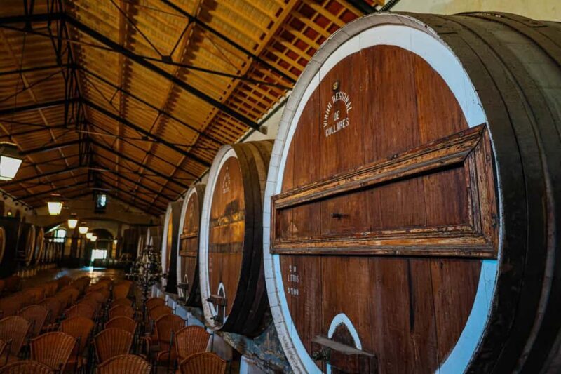 Lisbon: Sintra, Pena Palace & Wine Tasting Small-Group Tour - Who Should Book This Tour?