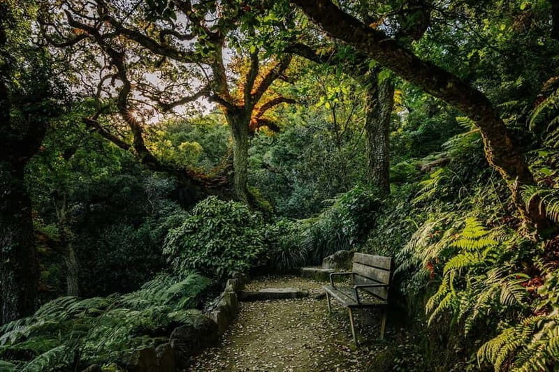Lisbon: Sintra, Pena, Regaleira, Cabo da Roca, Cascais Tour - The Itinerary Breakdown—What to Expect
