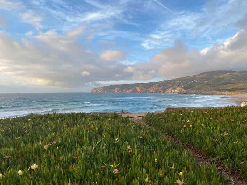 Lisbon: Sintra Tour with Pena Palace and Quinta da Regaleira - A Balance of Highlights and Practicality – What to Expect