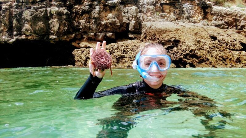 lisbon-snorkeling-and-wine-tasting-in-arrabida